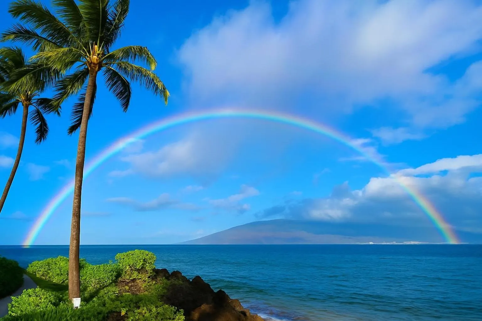 Your Maui Adventure Awaits - New Summer Specials 키헤이 아파트