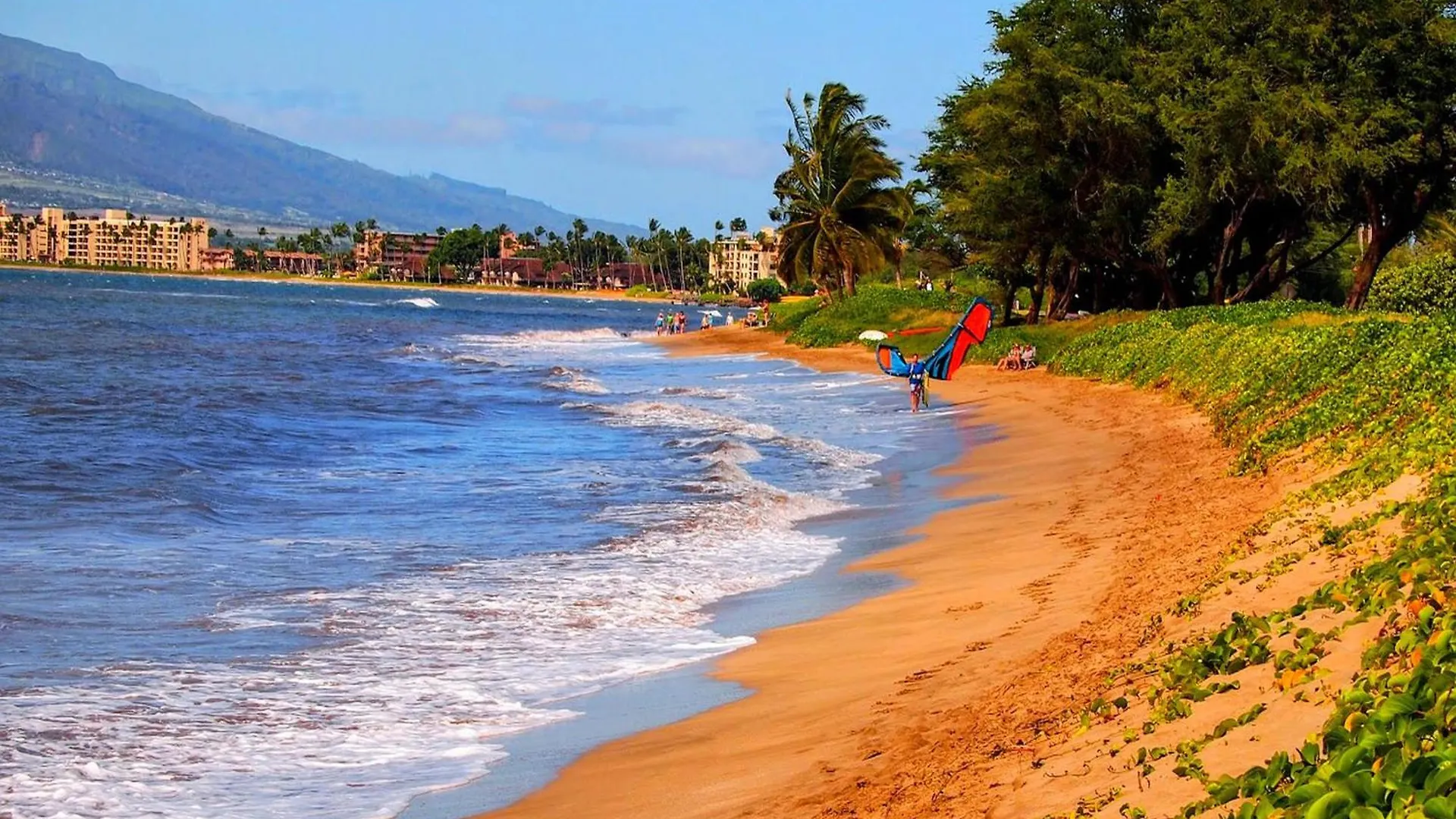 Your Maui Adventure Awaits - New Summer Specials 키헤이